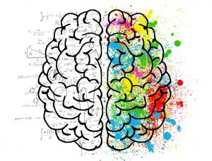 mind-factor.com-brain-2062057-Image-by-ElisaRiva-from-Pixabay