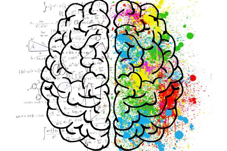 mind-factor.com-brain-2062057-Image-by-ElisaRiva-from-Pixabay